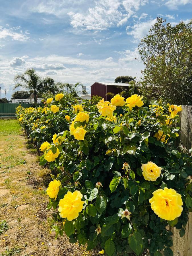 Barossa Gateway Motel Nuriootpa Esterno foto